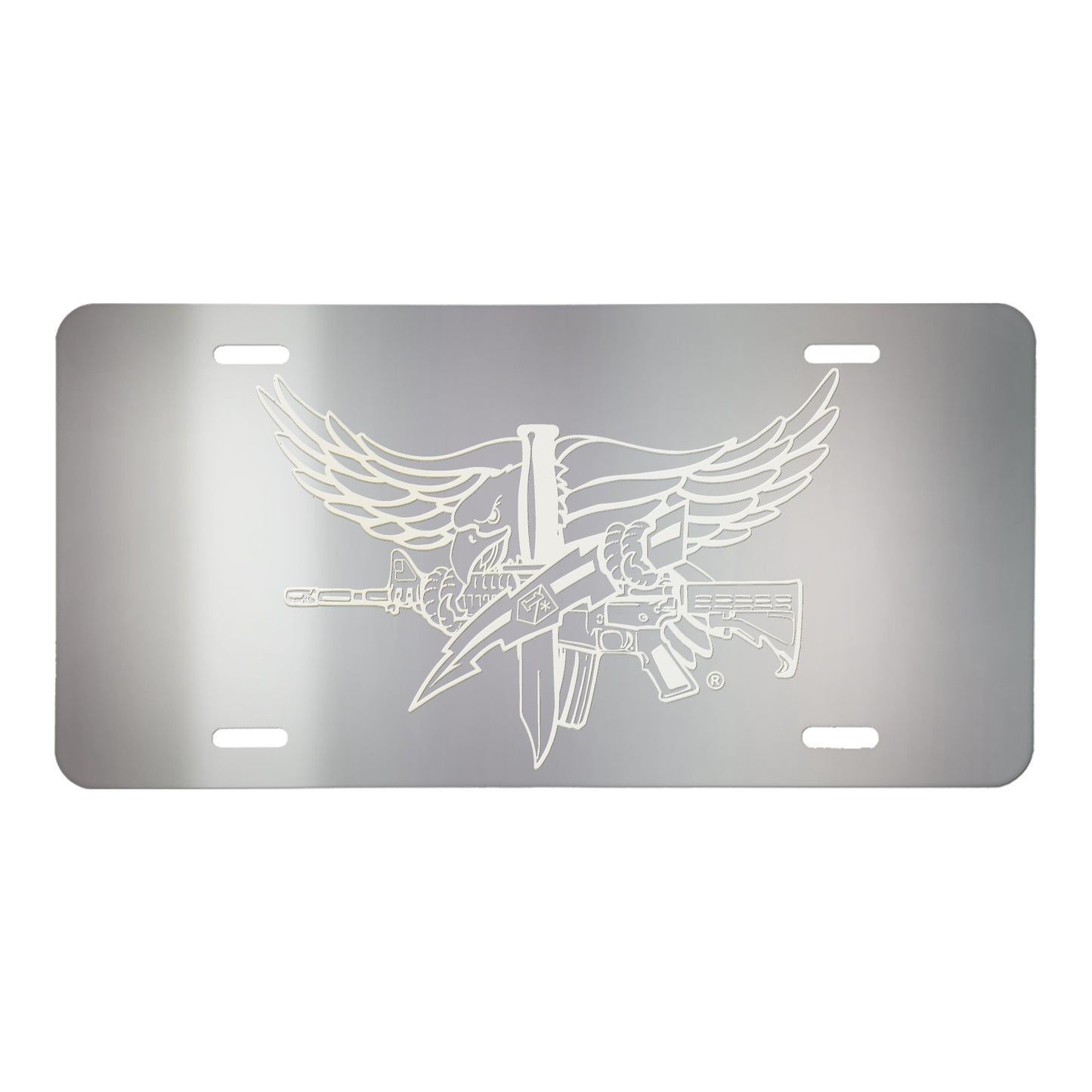 SWAT Operator Lasered License Plate