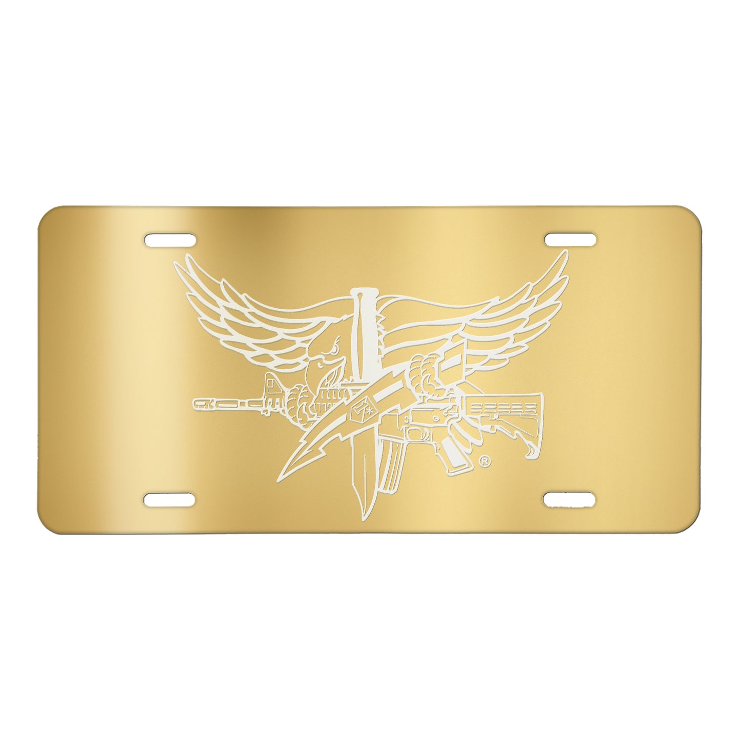 SWAT Operator Lasered License Plate